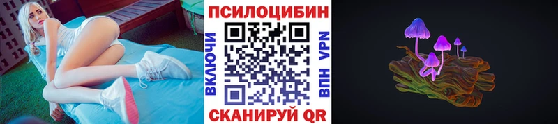 Галлюциногенные грибы Psilocybine cubensis Купить Гуково